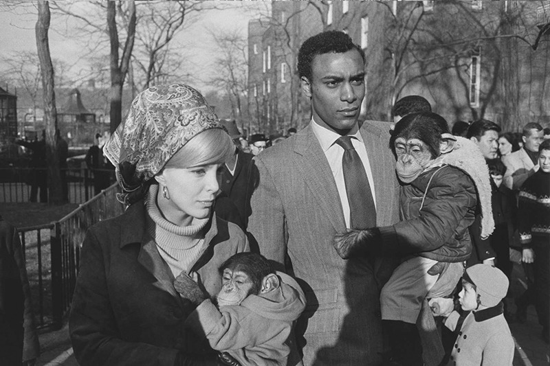 Garry Winogrand