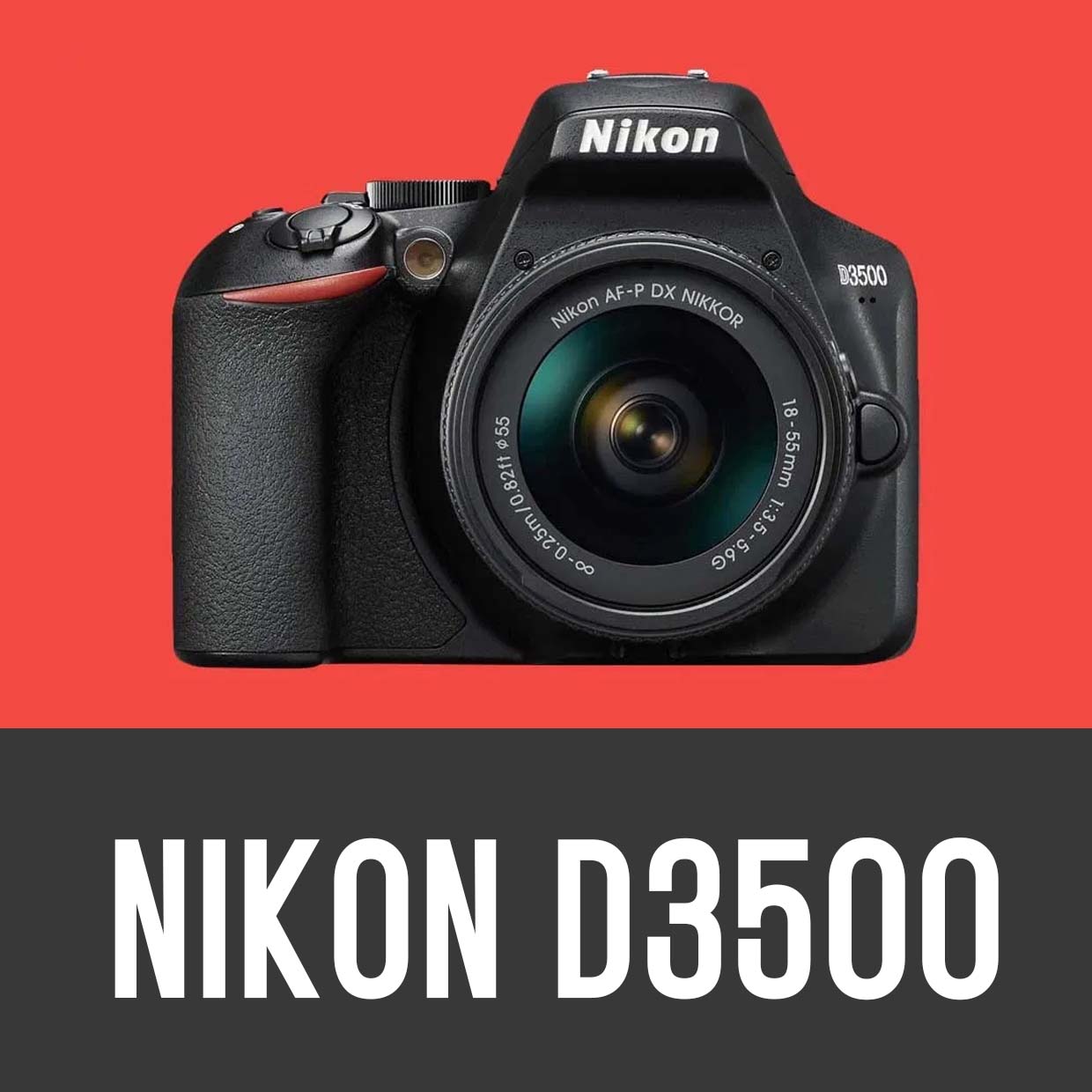 Nikon D3500 - Una muy buena CÁMARA PARA PRINCIPIANTES