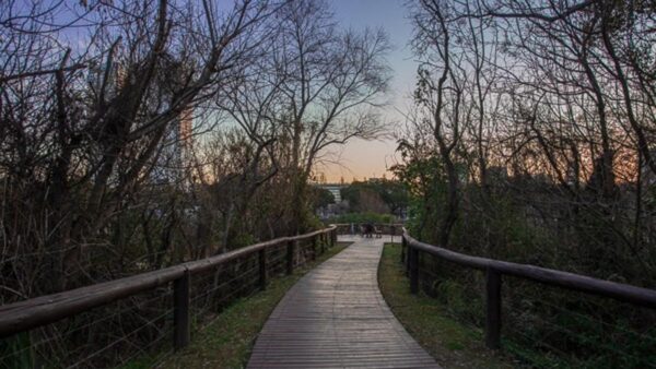 LOS MEJORES LUGARES PARA HACER FOTOS EN BUENOS AIRES