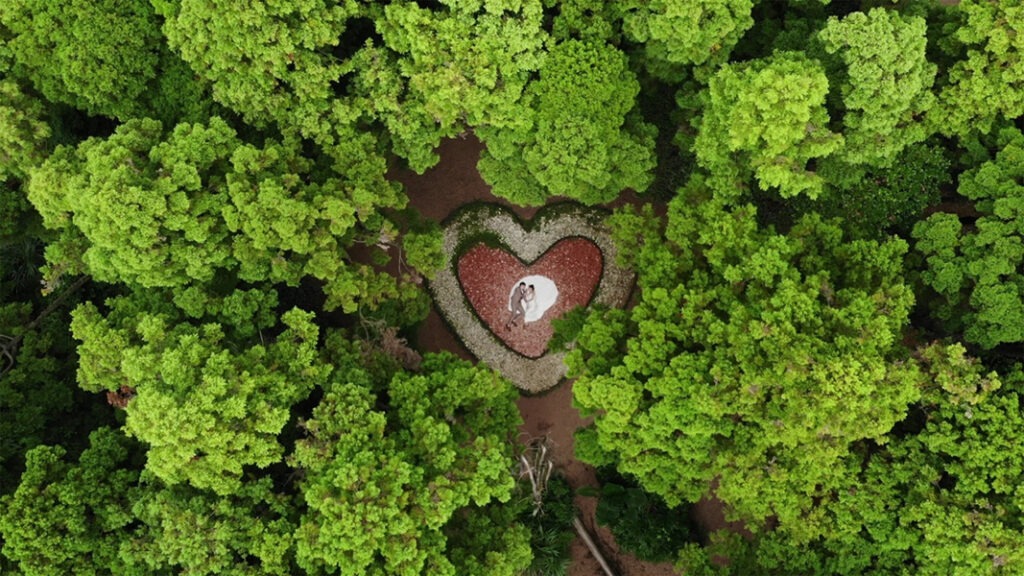 Corazón del bosque / Por Luo Shengping