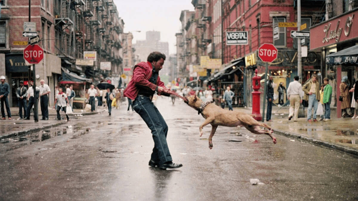 Curso de Fotografía Callejera