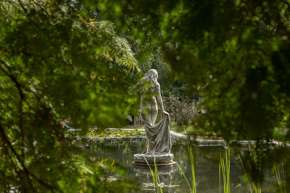 Taller de paisaje y arquitectura con celular