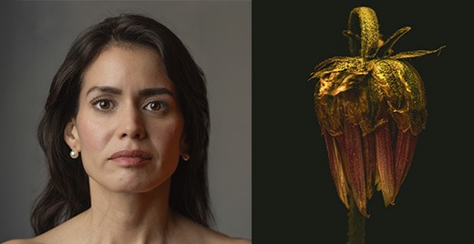 Curso intermedio de fotografía digital en Buenos Aires